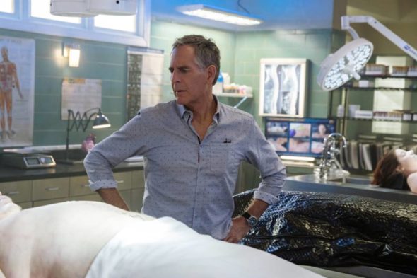NCIS: New Orleans TV show on CBS: season six viewer votes (cancel or renew?)