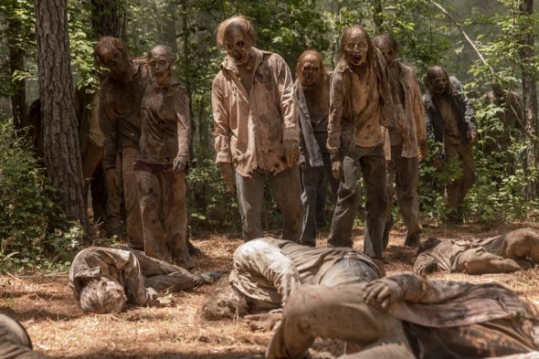 The Walking Dead TV show on AMC: season 10 viewer votes (cancel or renew?)