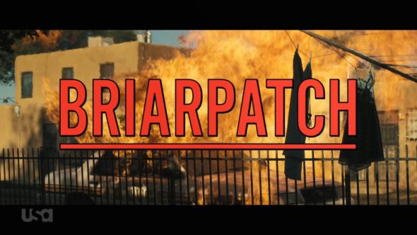 Briarpatch TV Show on USA Network: canceled or renewed?