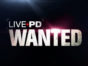 Live PD: Wanted TV Show on A&E: canceled or renewed?