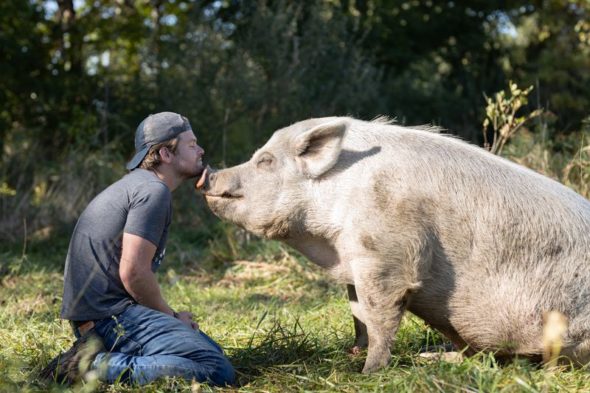 Saved by the Barn: Animals Rescued in New Animal Planet Series - canceled +  renewed TV shows - TV Series Finale