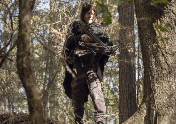 The Walking Dead TV show on AMC: (canceled or renewed?)