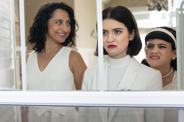 Three Busy Debras TV Show on Adult Swim: canceled or renewed?