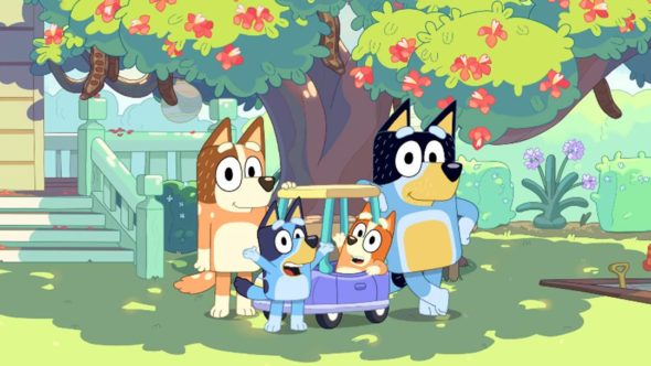 Bluey TV Show on Disney Channel: canceled or renewed?