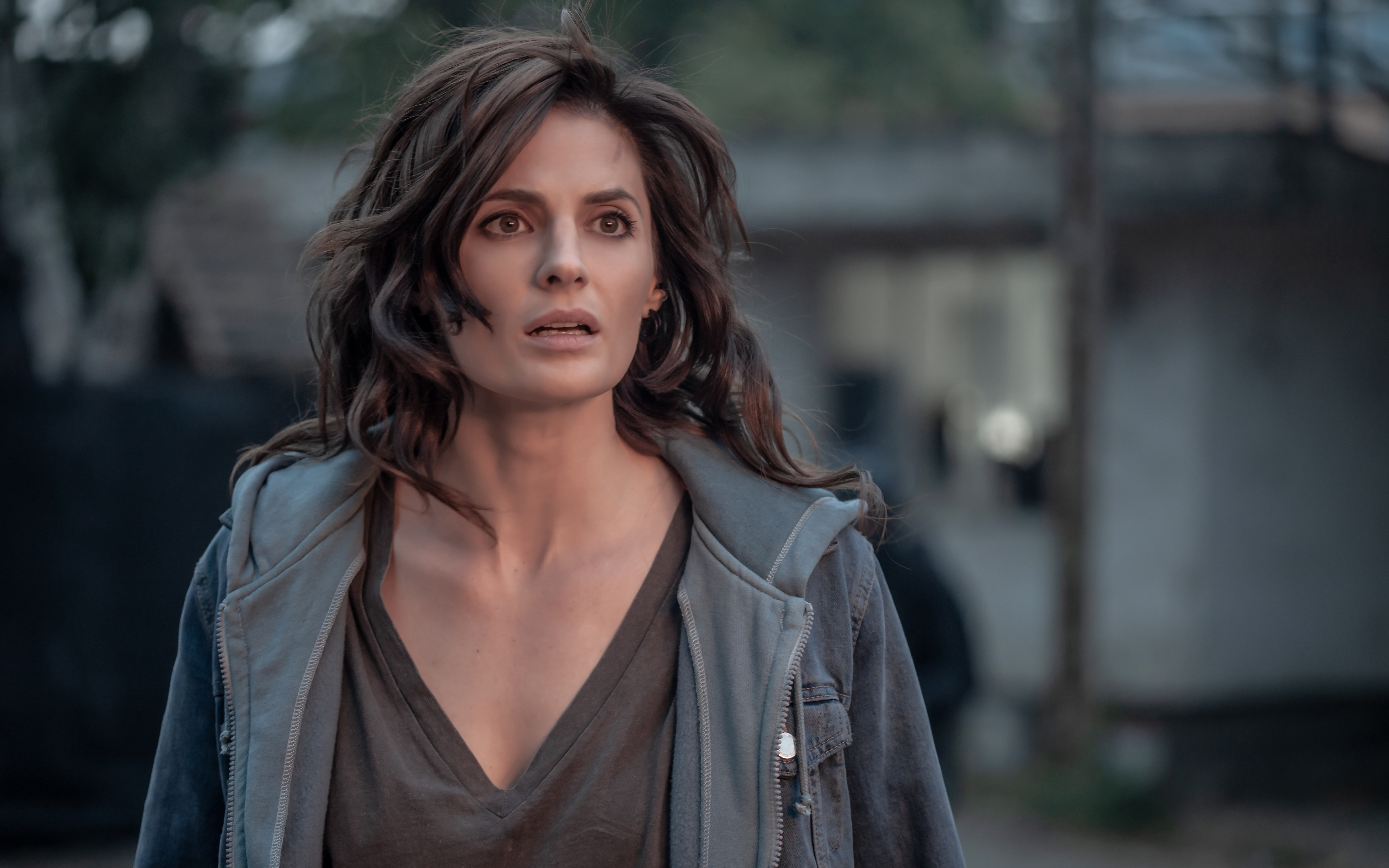 Absentia TV show on Amazon Prime: canceled or renewed for season 4?