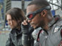 The Falcon and the Winter Soldier TV show on Disney+: (canceled or renewed?)