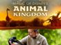 Magic of Disney's Animal Kingdom TV Show on Disney +: canceled or renewed?