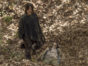 The Walking Dead TV show on AMC: ending with season 11, no season 12