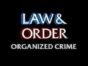 Law & Order: Organized Crime TV Show on NBC: canceled or renewed?