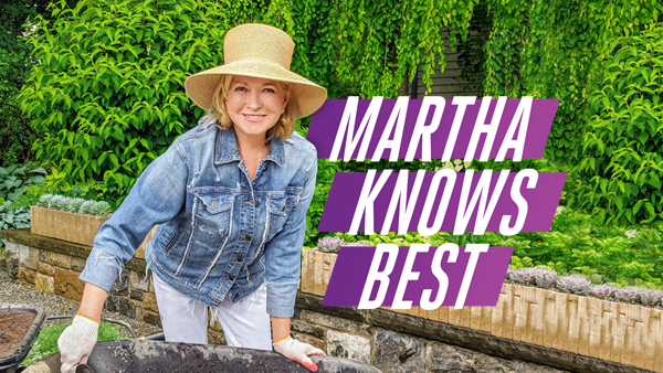 Martha Knows Best TV Show on HGTV: canceled or renewed?