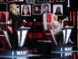 The Voice TV show on NBC: canceled or renewed for season 20?