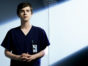 The Good Doctor TV show on ABC: canceled or renewed for season 5?