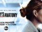 Grey's Anatomy TV show on ABC: season 17 ratings