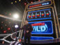 Cherries Wild TV show on FOX: canceled or renewed?