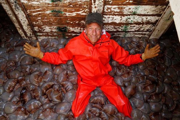 #Dirty Jobs: Season 10 of Mike Rowe Series Gets Premiere Date on Discovery Channel