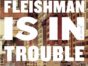 Fleishman Is in Trouble TV Show on FX on Hulu: canceled or renewed?