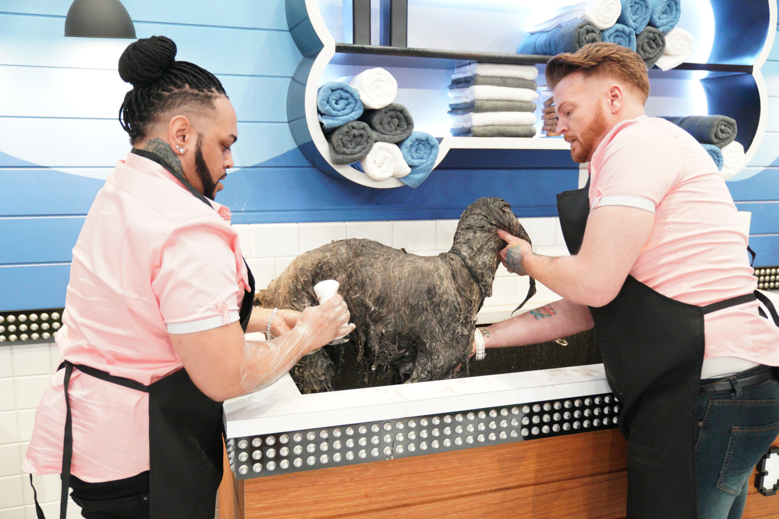 Pooch Perfect TV Show on ABC Season One Viewer Votes canceled