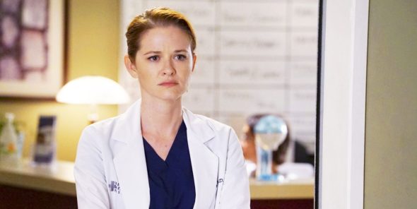 Grey's Anatomy TV Show on ABC: canceled or renewed?