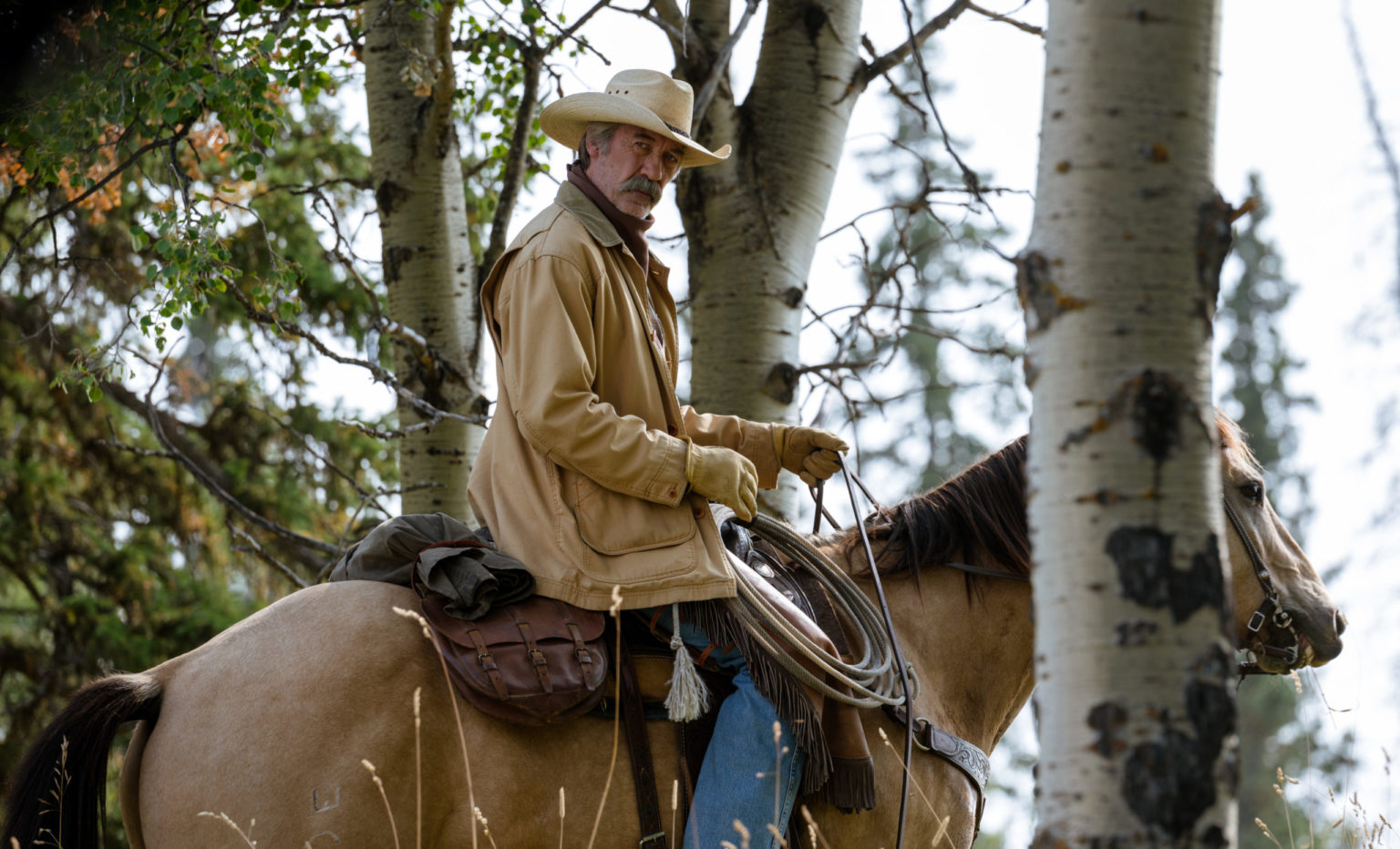 Heartland Fans, Rejoice! 5 Similar Canadian Drama Series You'll Absolutely Love