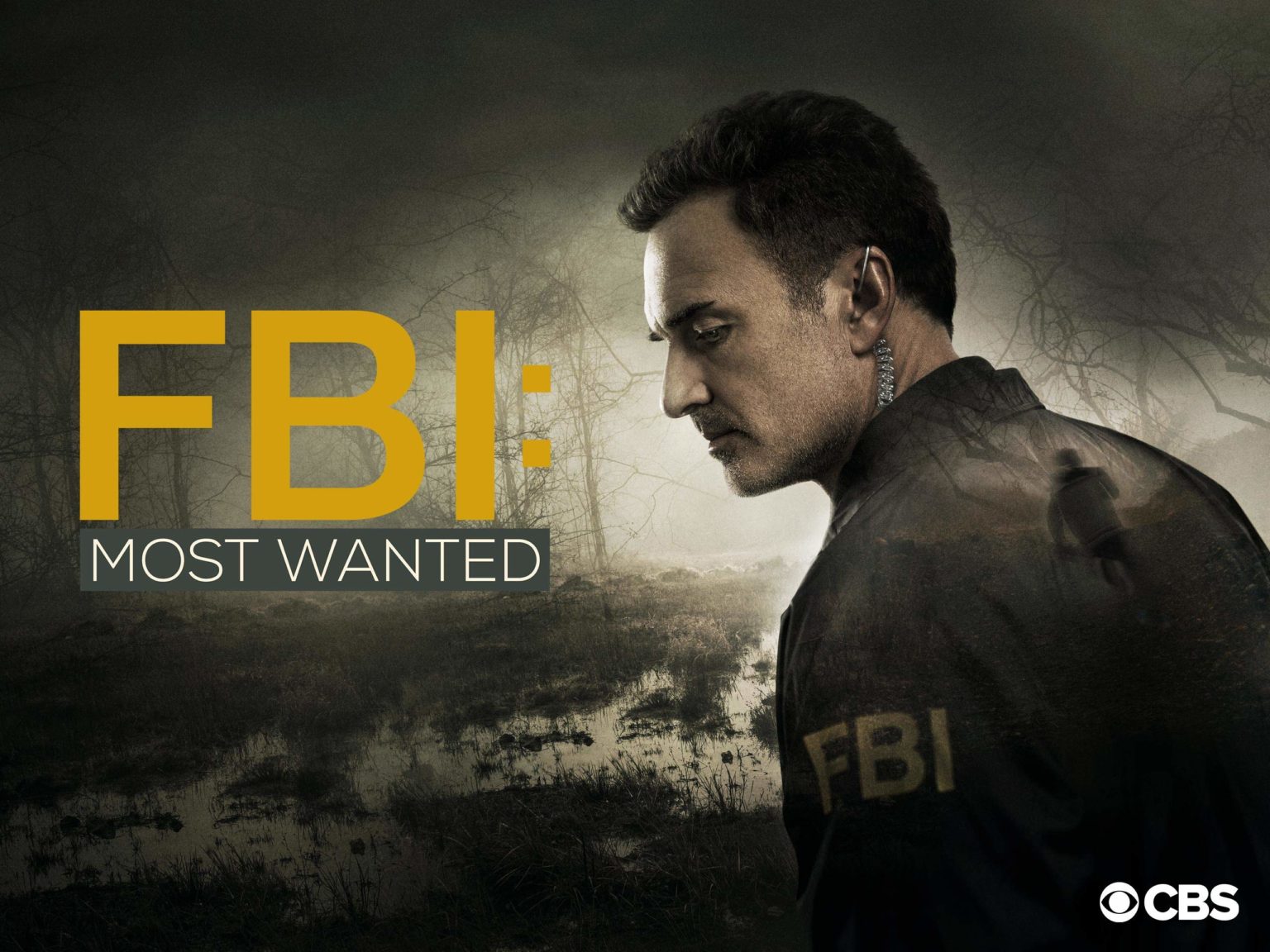 best fbi series on netflix