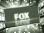 2020-21 FOX TV shows Viewer Votes - Which shows would the viewers cancel or renew?