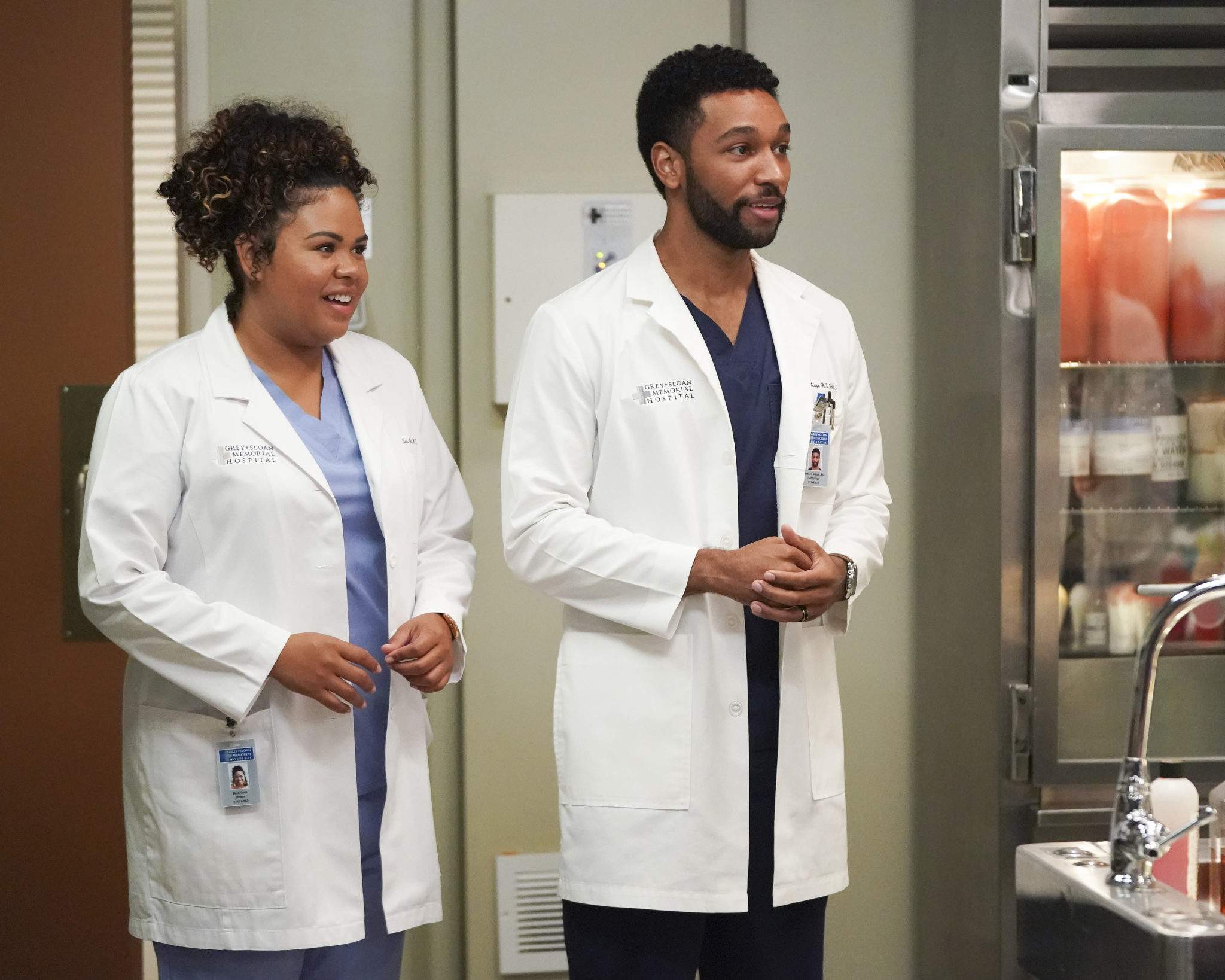 Grey's Anatomy TV Show on ABC: Season 18 Viewer Votes - canceled ...