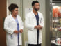 Grey's Anatomy TV show on ABC: canceled or renewed for season 19?