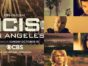 NCIS: Los Angeles TV show on CBS: season 13 ratings