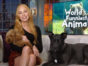 World's Funniest Animals TV show on The CW: season 2 ratings