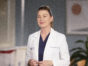 Grey's Anatomy TV Show on ABC: canceled or renewed?