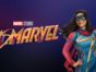 Marvel's Ms. Marvel TV show on Disney+: (canceled or renewed?)