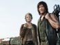 The Walking Dead TV show on AMC: canceled or renewed?