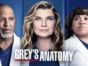 Grey's Anatomy TV Show on ABC: canceled or renewed?