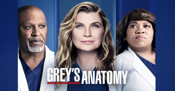 Grey's anatomy season hot sale 14 online netflix