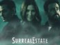 SurrealEstate TV show on Syfy: canceled or renewed?