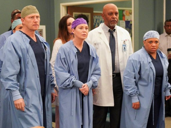 Grey's Anatomy TV Show on ABC: canceled or renewed?