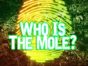 The Mole TV Show on Netflix: canceled or renewed?