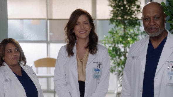 #Grey’s Anatomy: Season 19; Kate Walsh to Return to ABC Series in Recurring Role