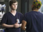 The Good Doctor TV show on ABC: canceled or renewed for season 7?