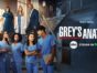 Grey's Anatomy TV show on ABC: season 19 ratings