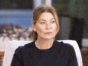 Grey's Anatomy TV show on ABC: canceled or renewed for season 20?