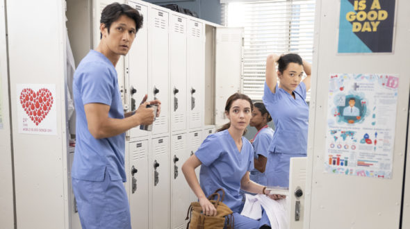 Grey's Anatomy TV show on ABC: canceled or renewed for season 20?