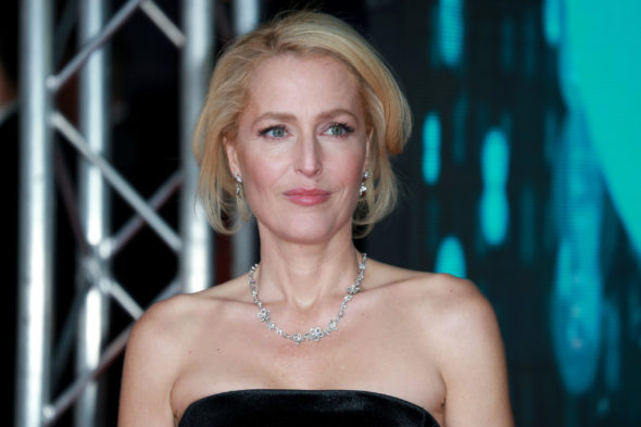Gillian Anderson to co-star in The Abandons