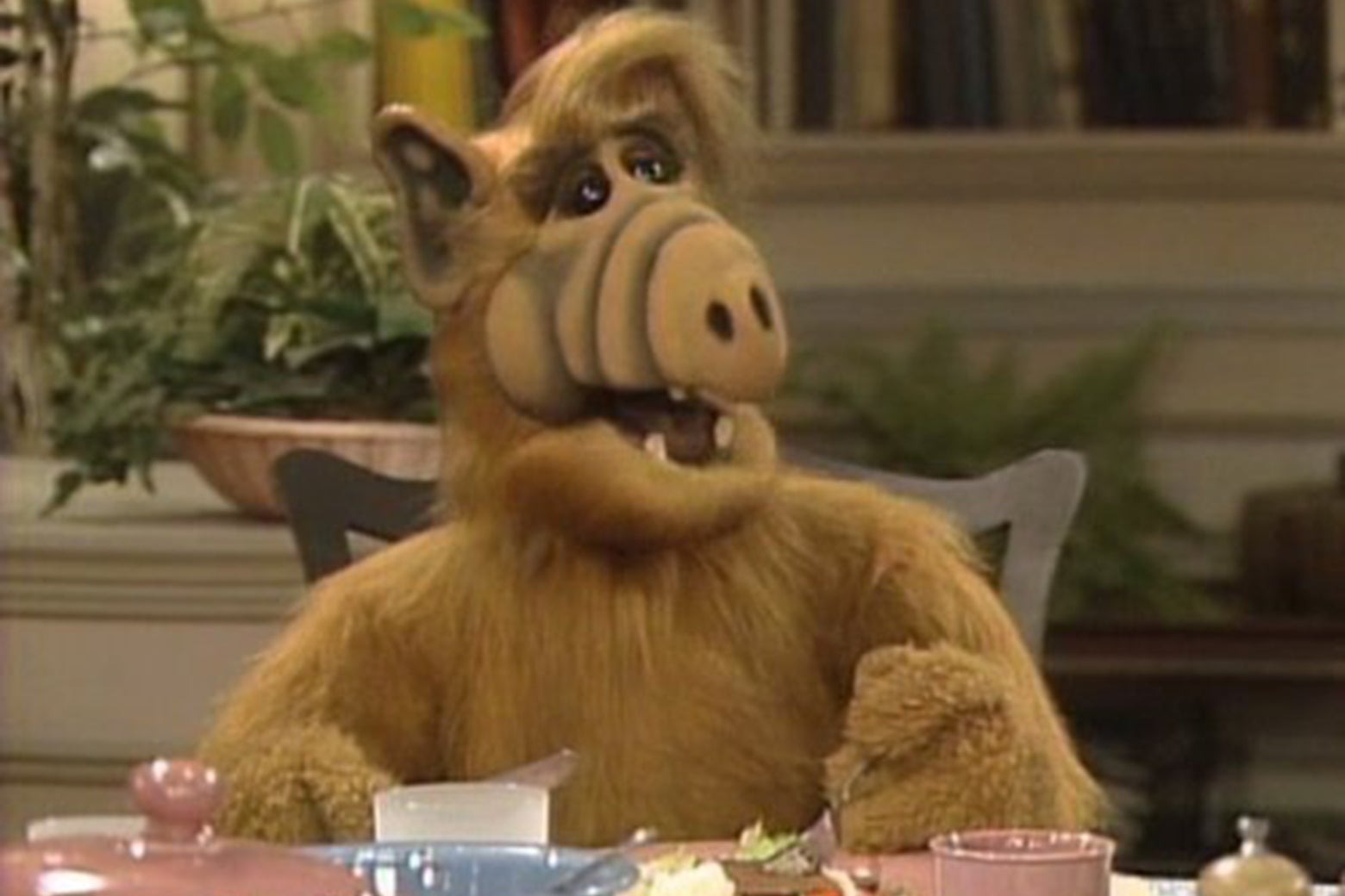 #ALF: Ryan Reynolds Revives Sitcom Character for Maximum Effort Channel