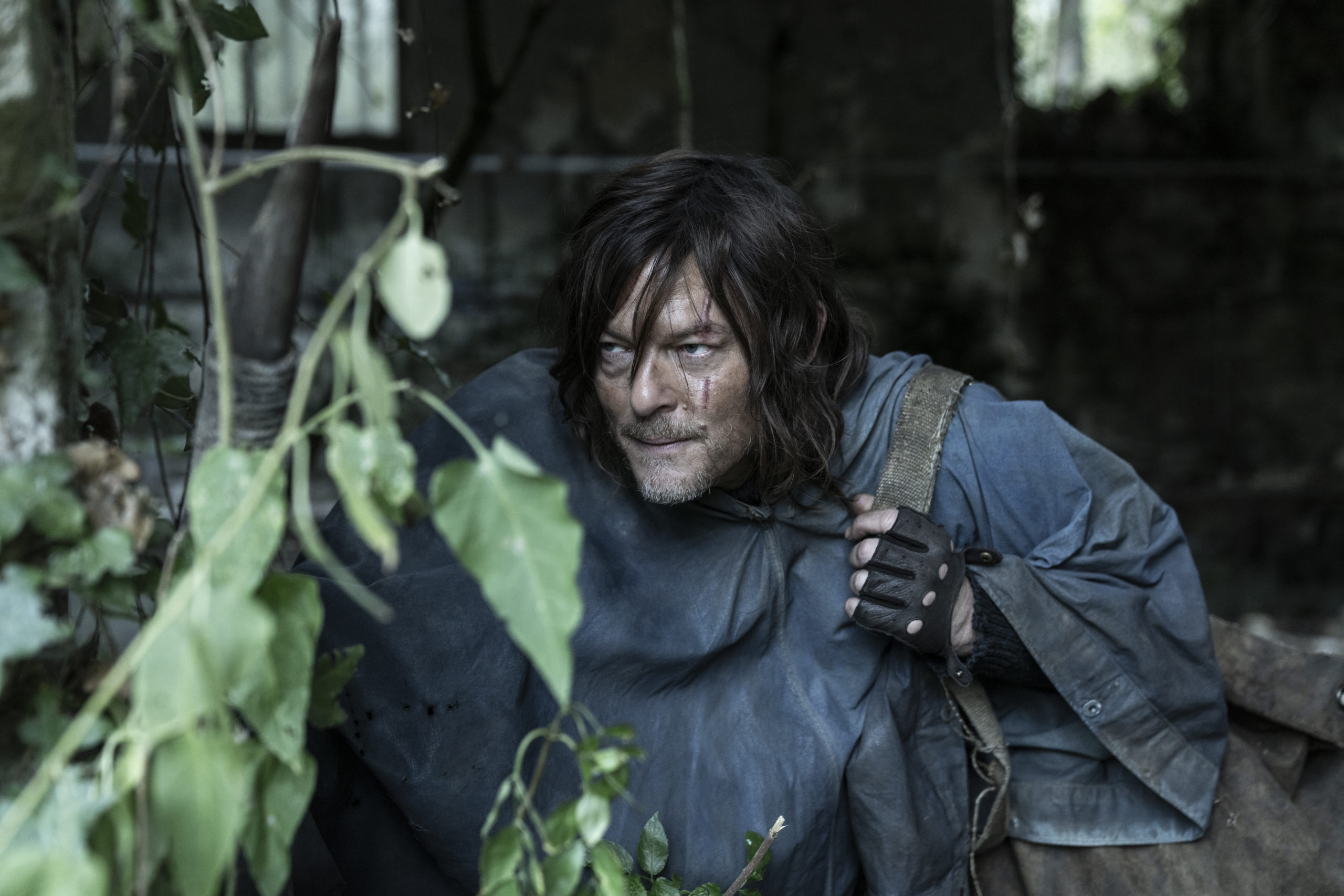 The Walking Dead: Daryl Dixon - canceled + renewed TV shows, ratings ...