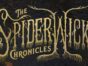 The Spiderwick Chronicles TV Show on The Roku Channel: canceled or renewed?