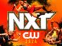 WWE NXT TV Show on The CW: canceled or renewed?