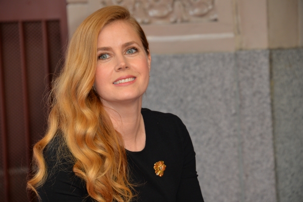 #The Holdout: Amy Adams to Star in and EP Legal Thriller Series