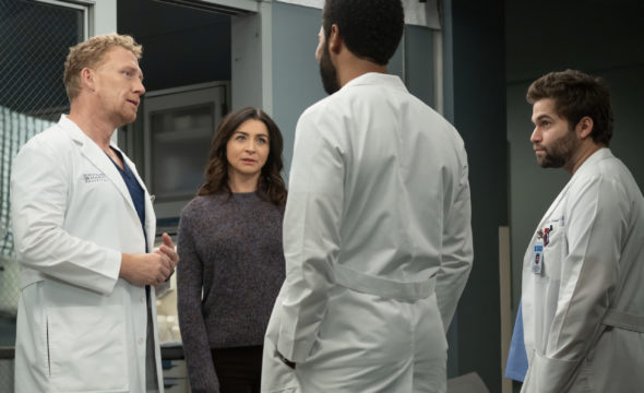 Grey's Anatomy TV show on ABC: canceled or renewed for season 21?