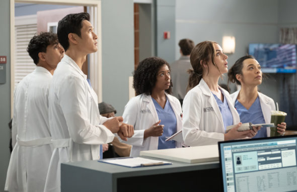 Grey's Anatomy TV show on ABC: canceled or renewed for season 21?